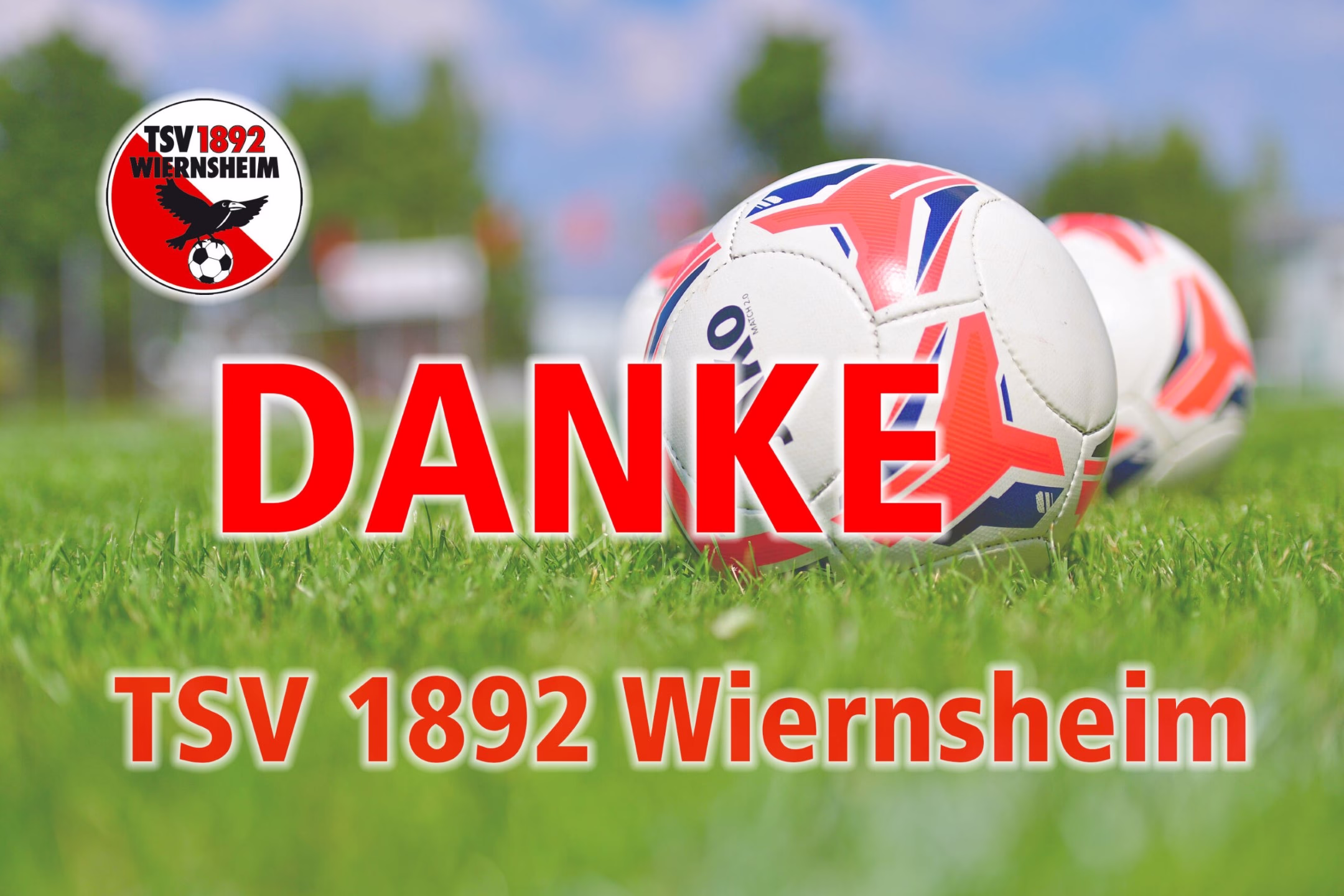 Fußball im Gras mit rotem Schriftzug „DANKE“ und „TSV 1892 Wiernsheim“; visuelle Dankesbotschaft zum Sportverein.