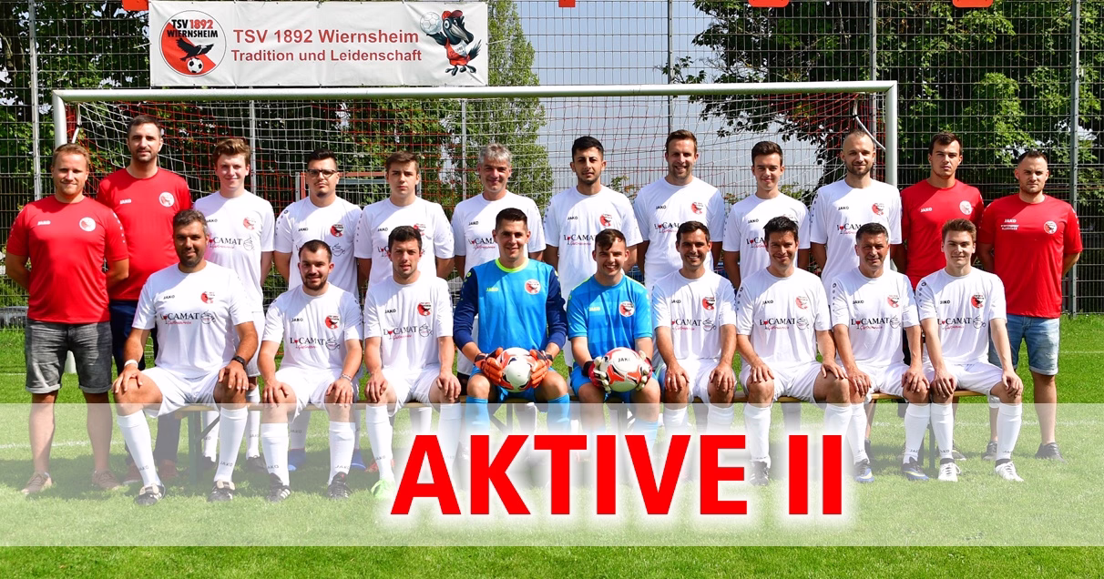 Mannschaftsaufstellung im Fußballtrikot vor Tor und Banner, Spieler knien und stehen, „AKTIVE II“ als Teamhinweis.