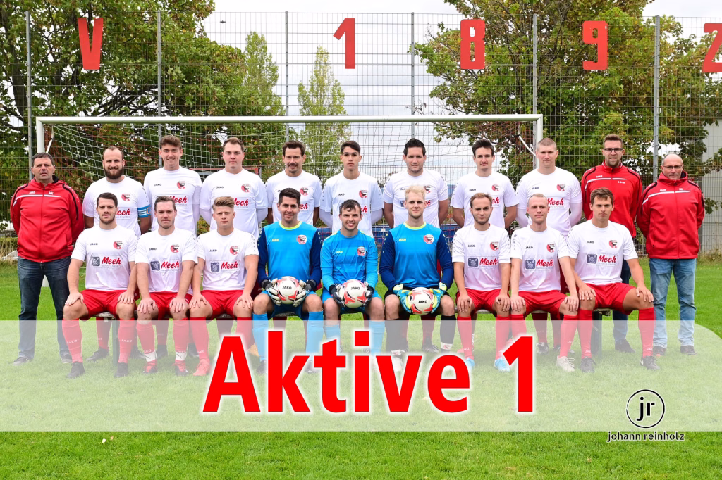 TSV I 1:1 VfB Vaihingen I 2 Mannschaftsfoto auf Rasen mit Fußballtor und Spielern im Trikot; große rote Zahlen „Aktive 1“ im Bild zeigen aktiven Kader.