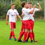 Mehrere Fußballspieler jubeln gemeinsam auf dem Rasen, um ein erzieltes Tor bzw. den Spielmoment zu feiern.