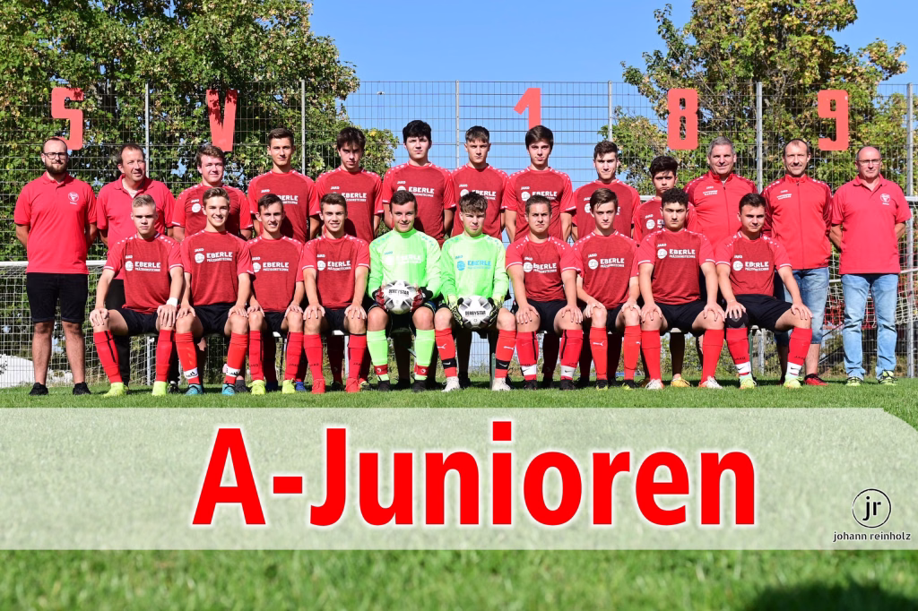 Spvgg Warmbronn - TSV Wiernsheim 3:3 3 Mannschafts- und Trainerporträt einer Fußball-A-Jugend vor Netztoren; rote Spielkleidung, zwei Torhüter in Neonfarben, Tafel mit „A-Junioren“.