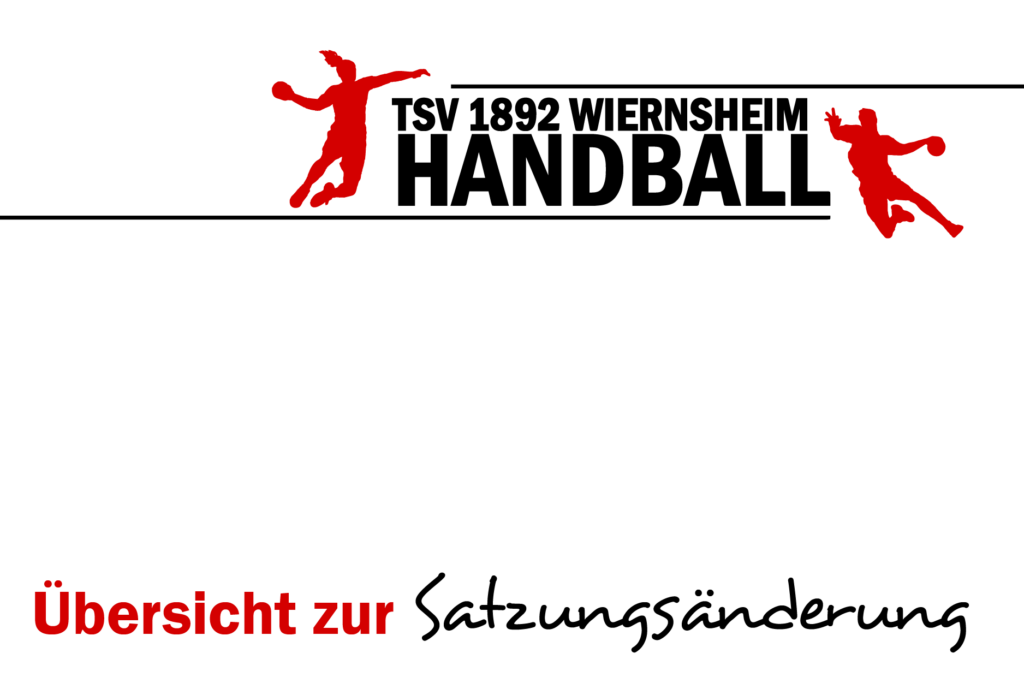 Header Handball 2021 Satzungsaenderung Uebersicht Zeichenflaeche 2