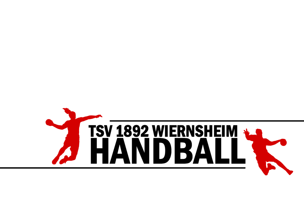 Header Handball 2021 3zu2 Zeichenflaeche 2 Kopie 2