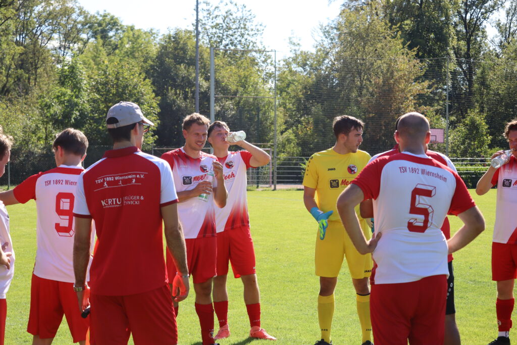 Spielbericht: SV Sternenfels 2:1 TSV Wiernsheim 6 IMG 8922
