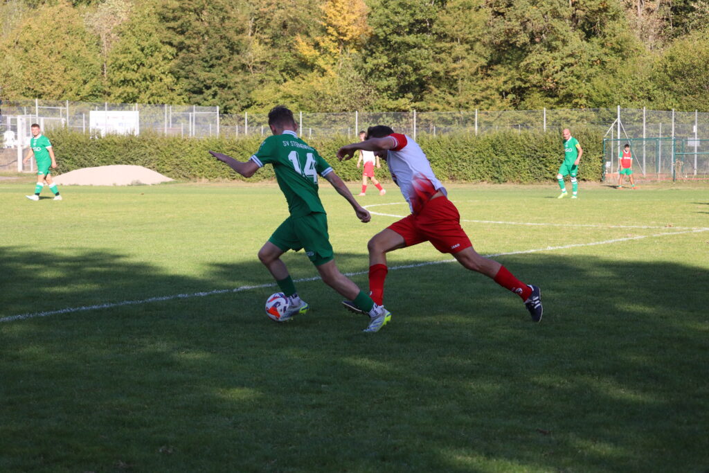 Spielbericht: SV Sternenfels 2:1 TSV Wiernsheim 5 IMG 8963